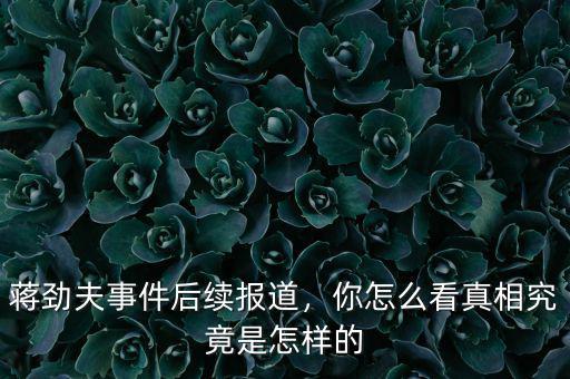 蔣勁夫事件后續(xù)報道，你怎么看真相究竟是怎樣的