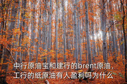 中行原油寶和建行的brent原油，工行的紙原油有人盈利嗎為什么