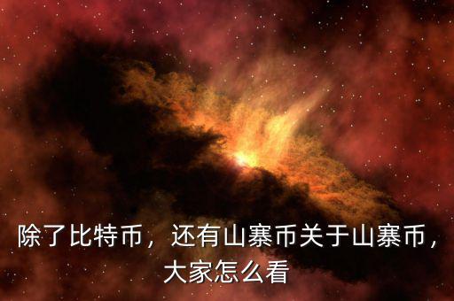 除了比特幣，還有山寨幣關(guān)于山寨幣，大家怎么看