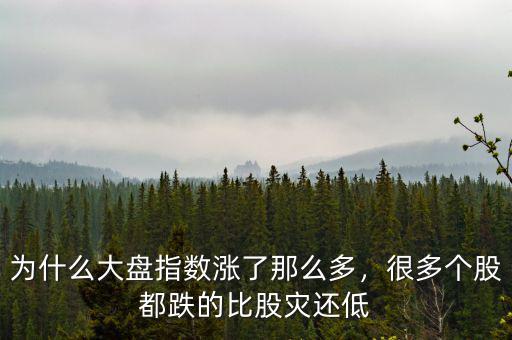為什么大盤指數(shù)漲了那么多，很多個(gè)股都跌的比股災(zāi)還低