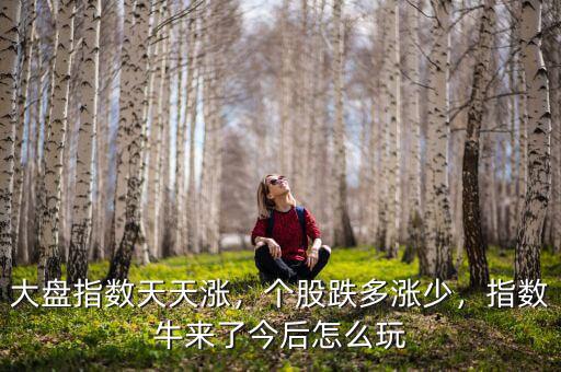 大盤指數(shù)天天漲，個股跌多漲少，指數(shù)牛來了今后怎么玩