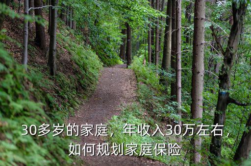 30多歲的家庭，年收入30萬左右，如何規(guī)劃家庭保險