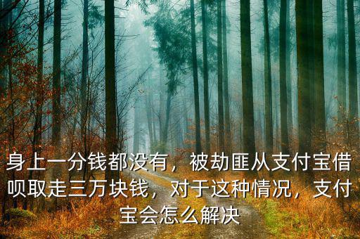 身上一分錢都沒有，被劫匪從支付寶借唄取走三萬塊錢，對于這種情況，支付寶會怎么解決