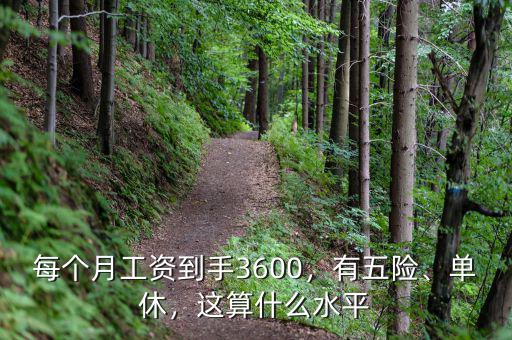 每個月工資到手3600，有五險、單休，這算什么水平