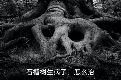 石榴樹生病了，怎么治