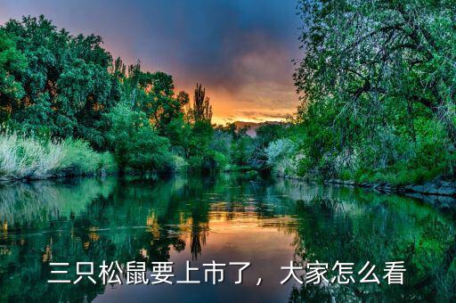 三只松鼠要上市了，大家怎么看
