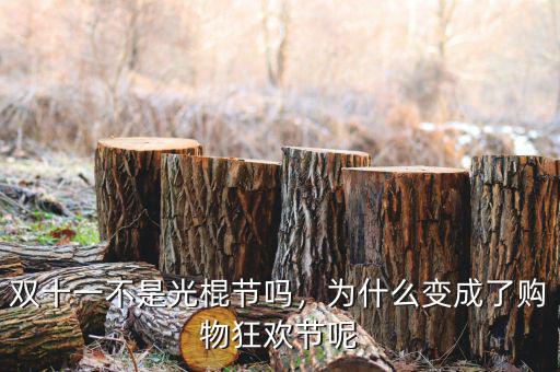 雙十一不是光棍節(jié)嗎，為什么變成了購(gòu)物狂歡節(jié)呢