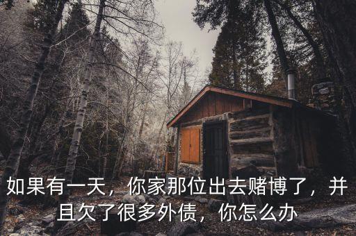 如果有一天，你家那位出去賭博了，并且欠了很多外債，你怎么辦