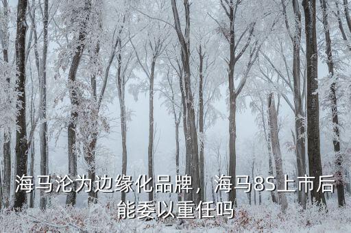海馬淪為邊緣化品牌，海馬8S上市后能委以重任嗎