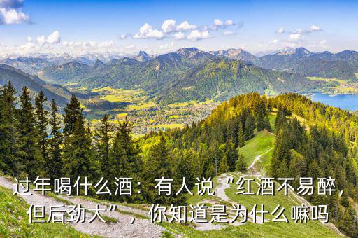 過(guò)年喝什么酒：有人說(shuō)“紅酒不易醉，但后勁大”，你知道是為什么嘛嗎