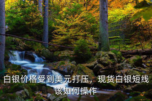白銀價(jià)格受到美元打壓，現(xiàn)貨白銀短線該如何操作