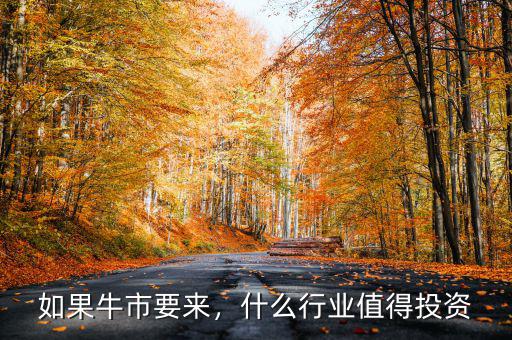 如果牛市要來(lái)，什么行業(yè)值得投資