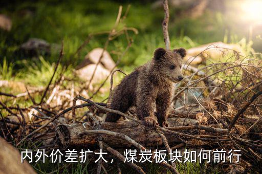 內(nèi)外價(jià)差擴(kuò)大，煤炭板塊如何前行