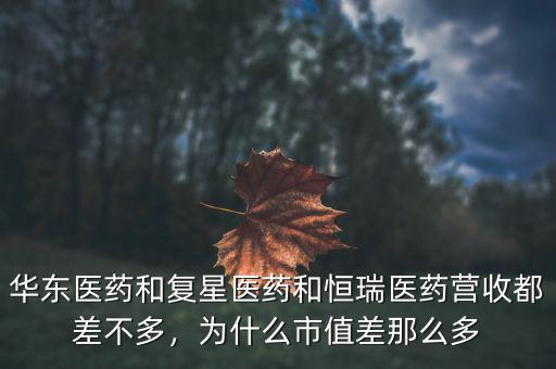華東醫(yī)藥和復(fù)星醫(yī)藥和恒瑞醫(yī)藥營收都差不多，為什么市值差那么多