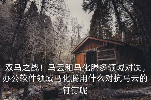 雙馬之戰(zhàn)！馬云和馬化騰多領(lǐng)域?qū)Q，辦公軟件領(lǐng)域馬化騰用什么對抗馬云的釘釘呢