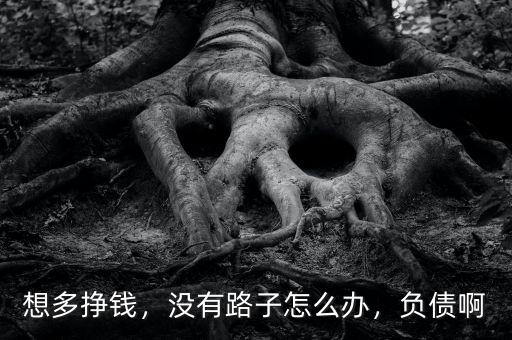 想多掙錢，沒(méi)有路子怎么辦，負(fù)債啊