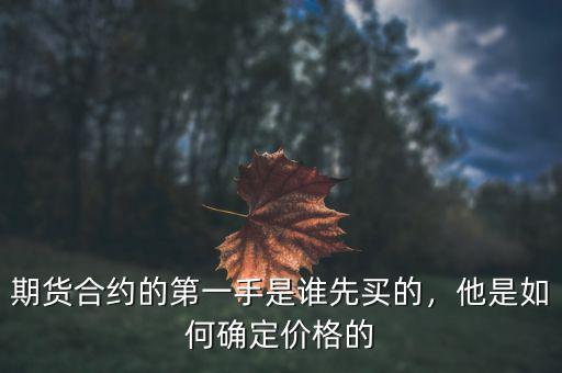 期貨合約的第一手是誰(shuí)先買的，他是如何確定價(jià)格的