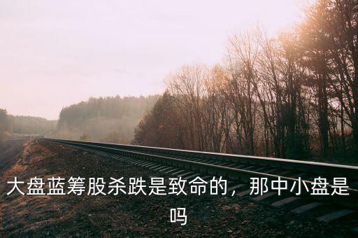 大盤藍籌股殺跌是致命的，那中小盤是嗎