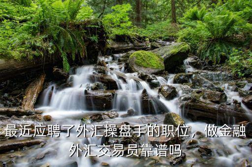 最近應(yīng)聘了外匯操盤(pán)手的職位，做金融外匯交易員靠譜嗎