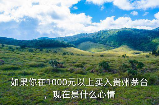 如果你在1000元以上買入貴州茅臺，現(xiàn)在是什么心情