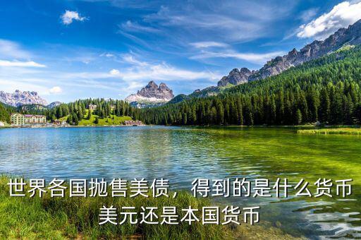 世界各國拋售美債，得到的是什么貨幣美元還是本國貨幣