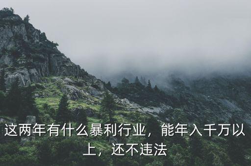 這兩年有什么暴利行業(yè)，能年入千萬以上，還不違法