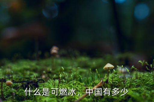 什么是可燃冰，中國有多少