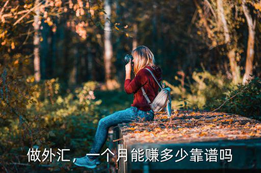 做外匯，一個月能賺多少靠譜嗎