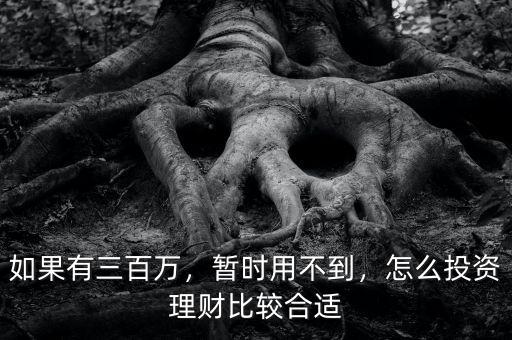 如果有三百萬(wàn)，暫時(shí)用不到，怎么投資理財(cái)比較合適