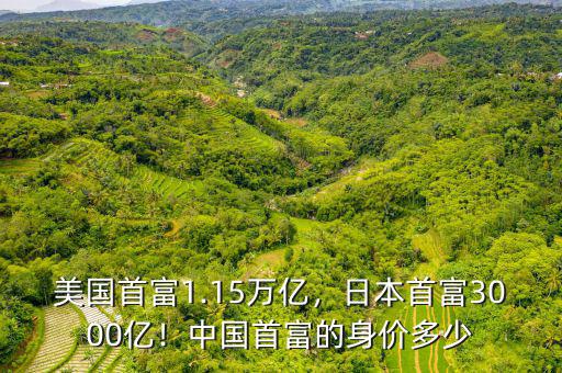 美國首富1.15萬億，日本首富3000億！中國首富的身價多少