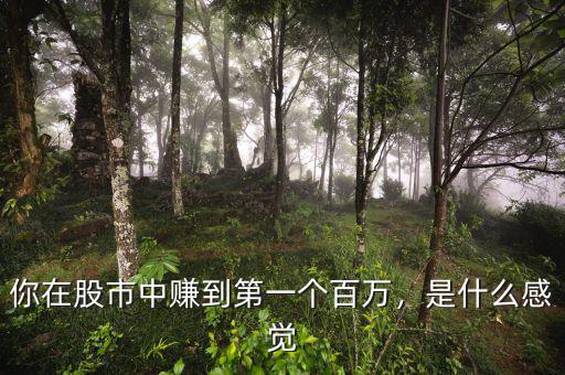 你在股市中賺到第一個(gè)百萬(wàn)，是什么感覺