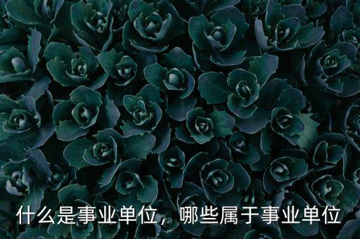 什么是事業(yè)單位，哪些屬于事業(yè)單位