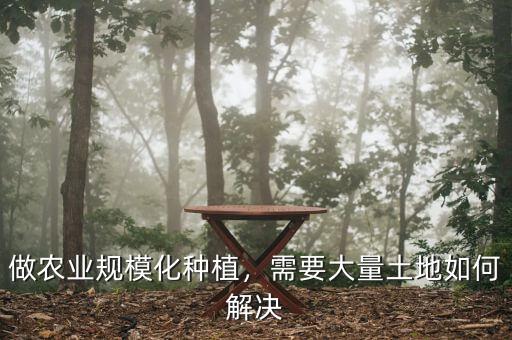 什么是土地規(guī)?；?jīng)營,規(guī)?；?jīng)營有哪些好處