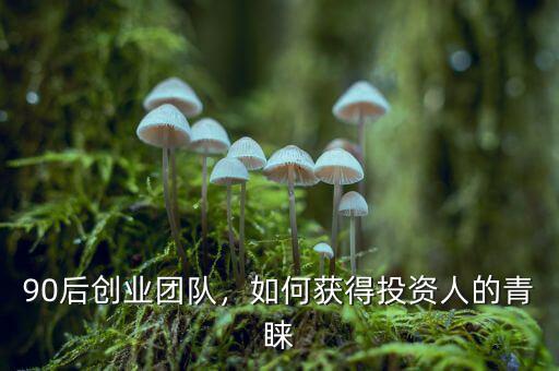 90后創(chuàng)業(yè)團(tuán)隊(duì)，如何獲得投資人的青睞