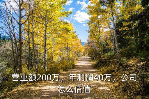 營業(yè)額200萬，年利潤40萬，公司怎么估值