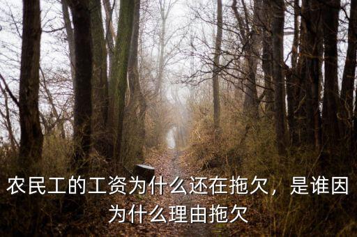 農(nóng)民工的工資為什么還在拖欠，是誰(shuí)因?yàn)槭裁蠢碛赏锨? class=
