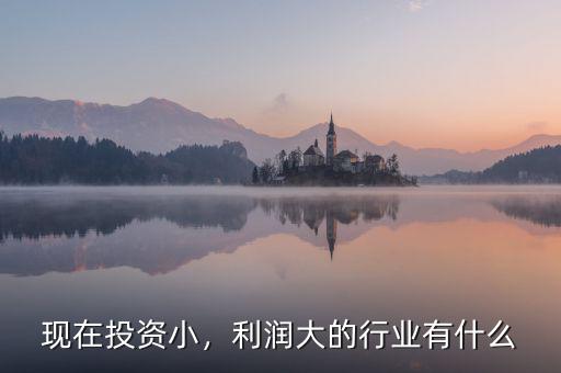 現(xiàn)在投資小，利潤大的行業(yè)有什么