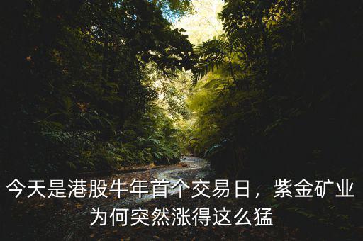 今天是港股牛年首個(gè)交易日，紫金礦業(yè)為何突然漲得這么猛