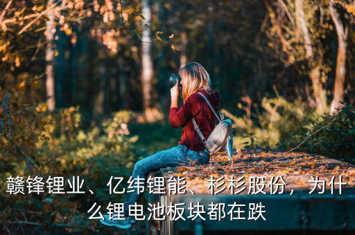 贛鋒鋰業(yè)、億緯鋰能、杉杉股份，為什么鋰電池板塊都在跌