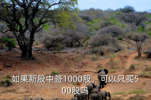 如果新股中簽1000股，可以只買500股嗎