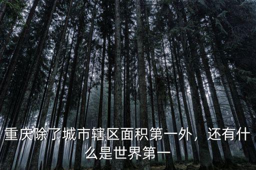 重慶除了城市轄區(qū)面積第一外，還有什么是世界第一