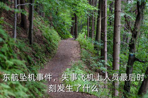 東航墜機(jī)事件，失事飛機(jī)上人員最后時(shí)刻發(fā)生了什么