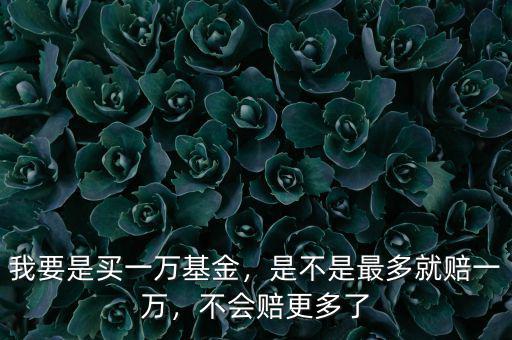 我要是買一萬基金，是不是最多就賠一萬，不會賠更多了