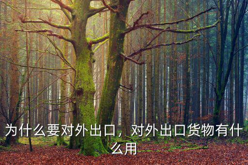 出口利潤是什么,為什么要對(duì)外出口