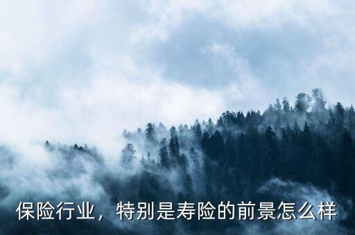 保險(xiǎn)行業(yè)，特別是壽險(xiǎn)的前景怎么樣