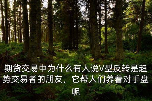 期貨交易中為什么有人說V型反轉(zhuǎn)是趨勢交易者的朋友，它幫人們養(yǎng)著對手盤呢