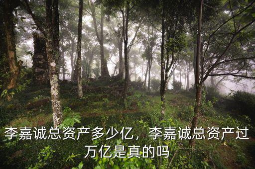 李嘉誠總資產(chǎn)多少億，李嘉誠總資產(chǎn)過萬億是真的嗎