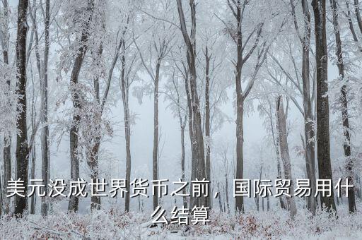 美元沒成世界貨幣之前，國際貿(mào)易用什么結(jié)算