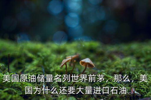美國原油儲量名列世界前茅，那么，美國為什么還要大量進(jìn)口石油