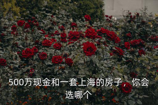 500萬現(xiàn)金和一套上海的房子，你會(huì)選哪個(gè)